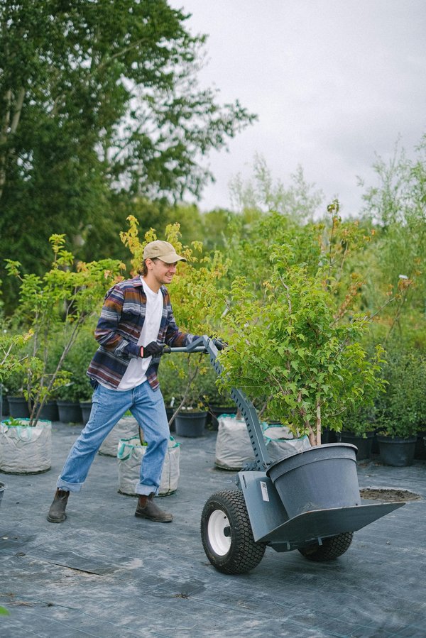 Revitalize your outdoor space with bristol's landscaping experts